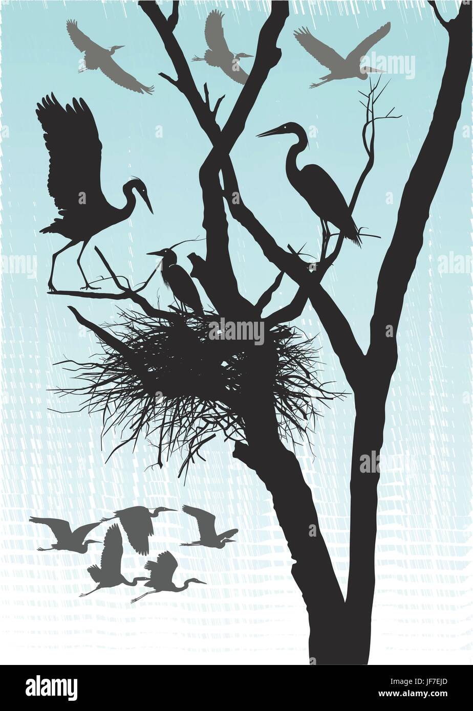 Animaux, arbres, noir, de teint basané, jetblack, noir profond, oiseaux, nid, bec, Illustration de Vecteur