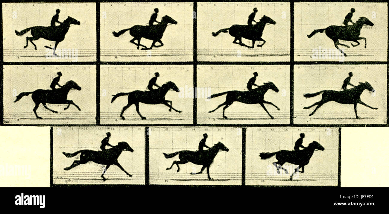 Photos d 'le cheval en mouvement' ou 'Sally Gardner au galop' par Eadweard Muybridge, 1878. 19e siècle, film première motion photo. EM : photographe anglais et pionnier de la projection au début 9 Avril 1830 - 8 mai 1904 . Banque D'Images