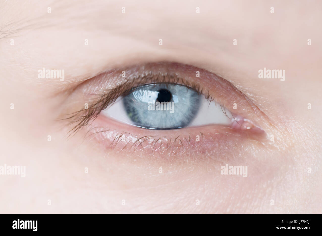Le bleu de l'œil humain. Beauté femme gros plan macro clignote de l'oeil Banque D'Images