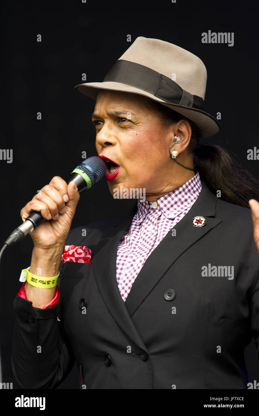 Performances à la théorie barbu 2017 comprend : le sélecteur Où : Catton Hall, Royaume-Uni Quand : 28 mai 2017 Credit : Anthony Stanley/WENN.com Banque D'Images