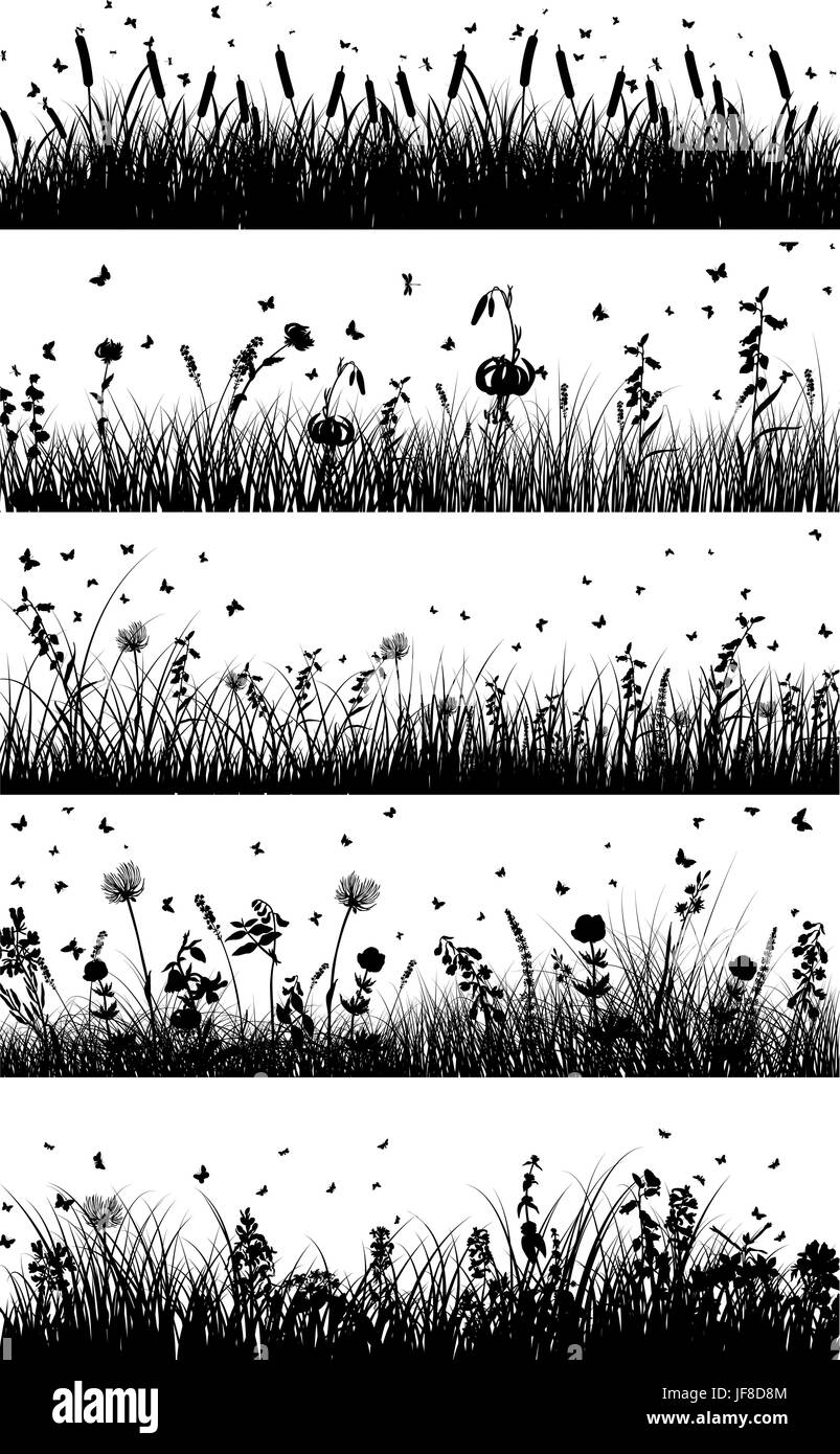 Meadow background Illustration de Vecteur