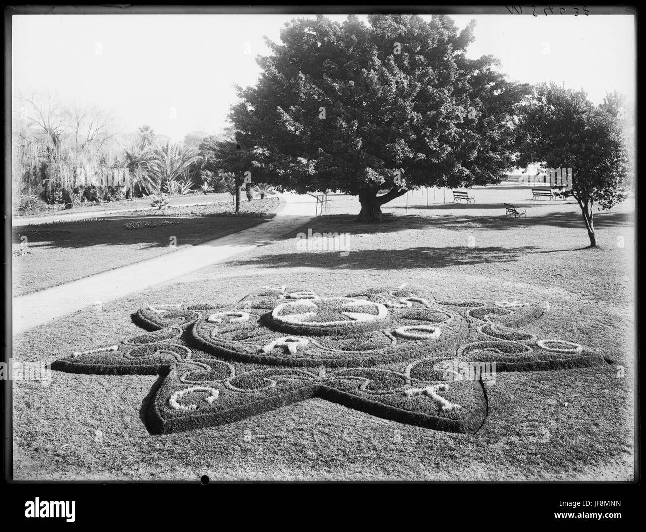 Croix de Victoria de l'Anzac lit de fleur, Botanic Gardens, Sydney NSW 33785070206 o Banque D'Images