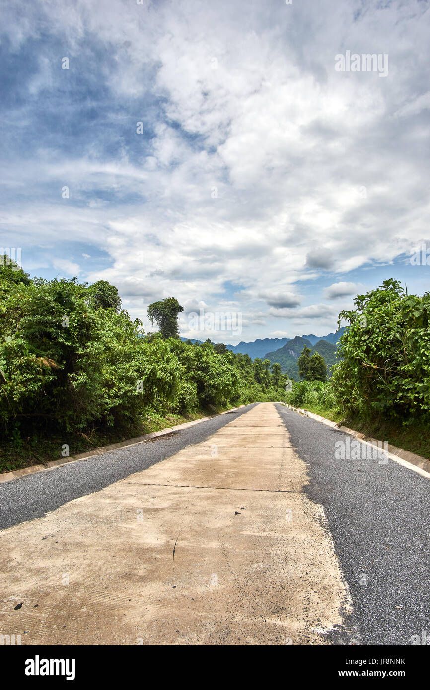 Rue à paradise cave à travers la jungle dans le parc national de Phong Nha au Vietnam. Sans les gens, Vertical shot. Banque D'Images