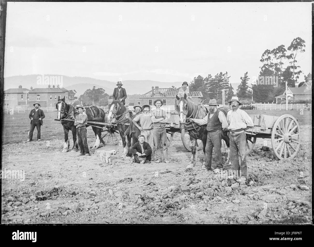 Une photo historique capturant un ouvrier le long de la New Town Road en Tasmanie en janvier 1912, montrant la main-d'œuvre et les travaux routiers du début du XXe siècle. Banque D'Images