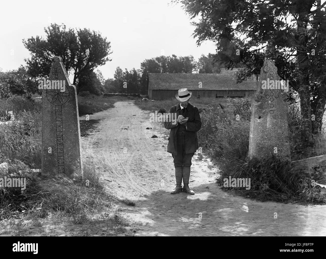 Runes sur Sigrajvs gateposts médiévale à, Vamlingbo, Gotland, Suède 30267565972 o Banque D'Images