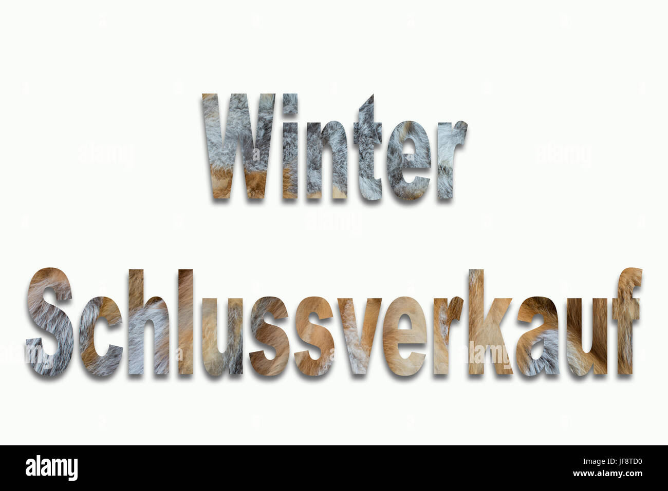 Vente d'hiver fourrure de renard rouge dans une police formée Banque D'Images