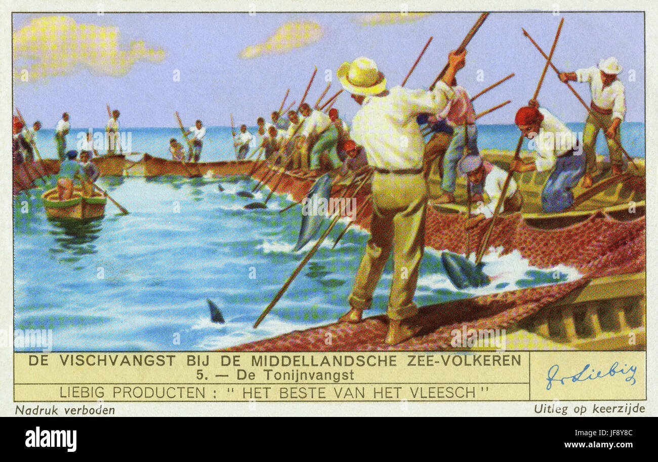 La pêche au thon. Carte de collection Liebig, 1938 Banque D'Images