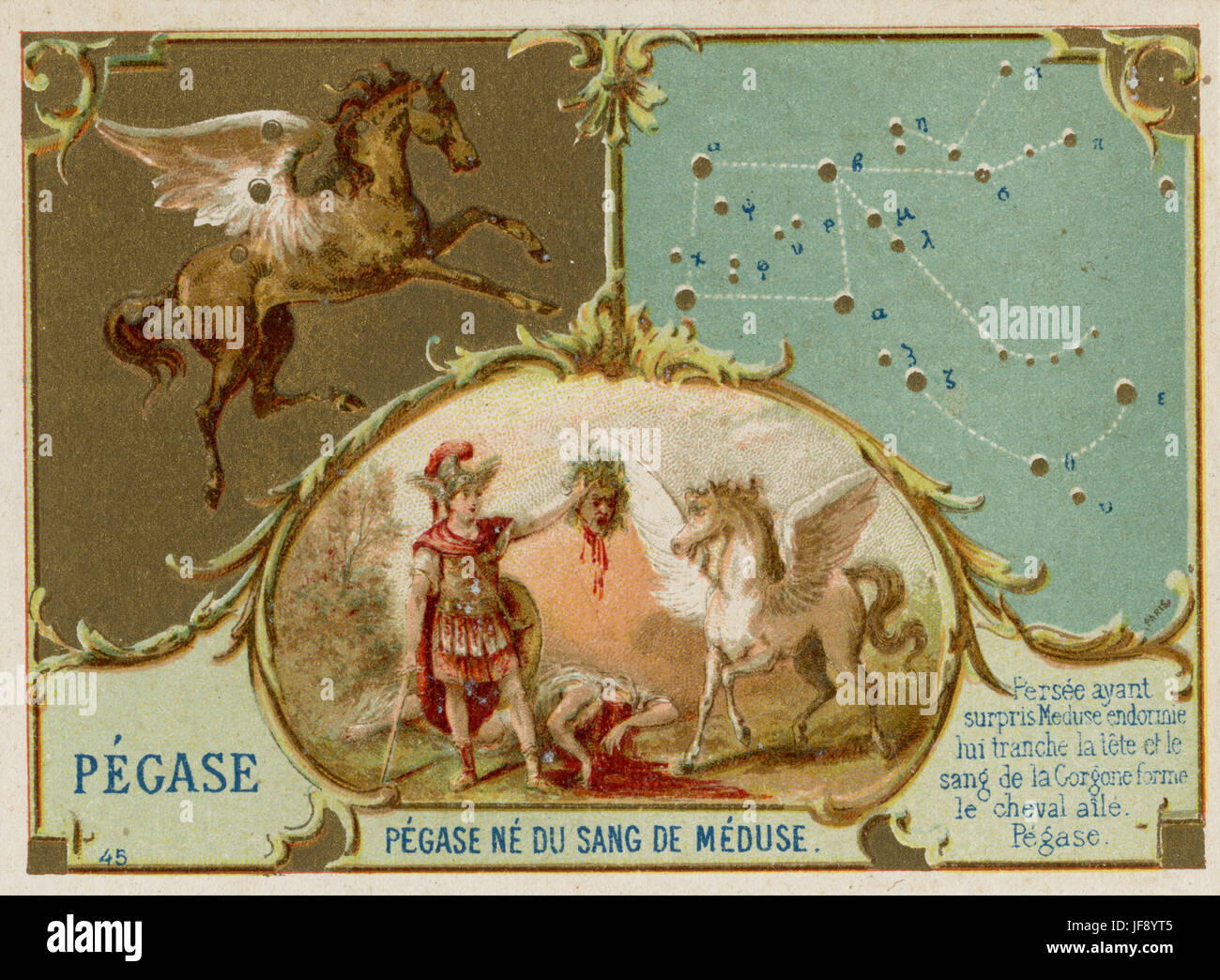 Pegasus. Pegasus né du sang de méduse. Constellations. Carte de collection Banque D'Images