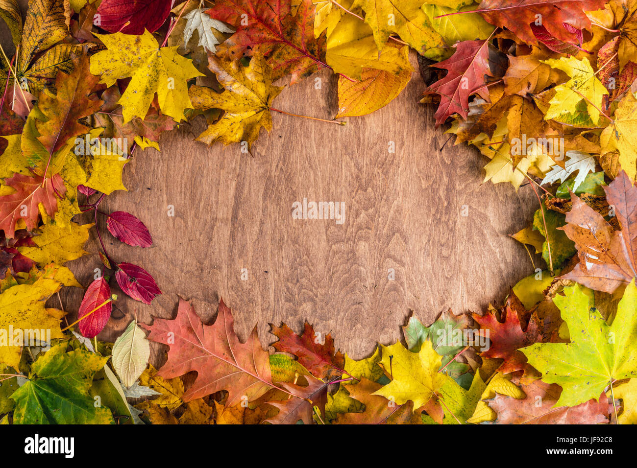 Cadre fait de feuilles d'automne sur le bois. Automne fond coloré Photo  Stock - Alamy