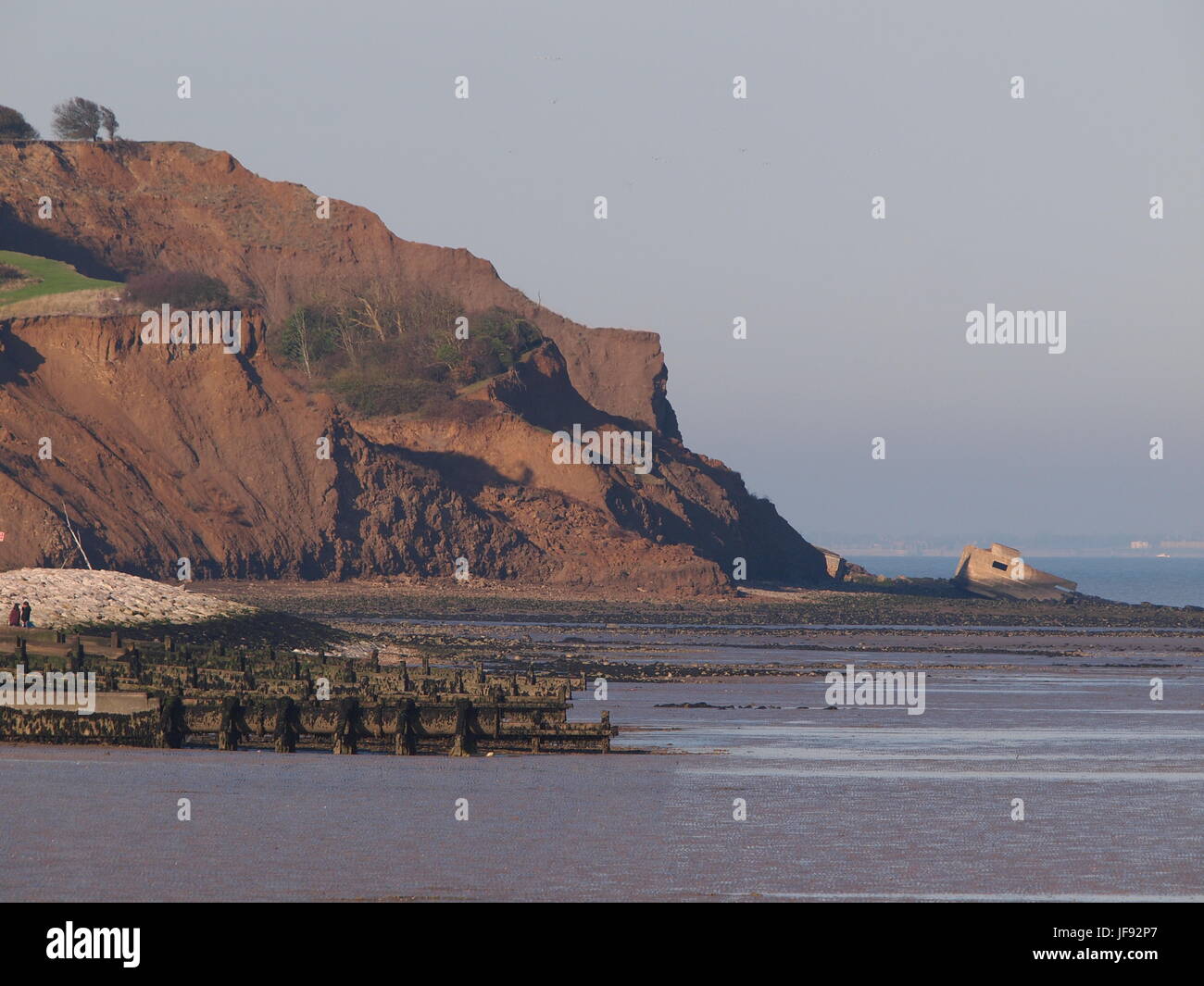Falaises du Préfet Bay, à l'île de Sheppey. Banque D'Images