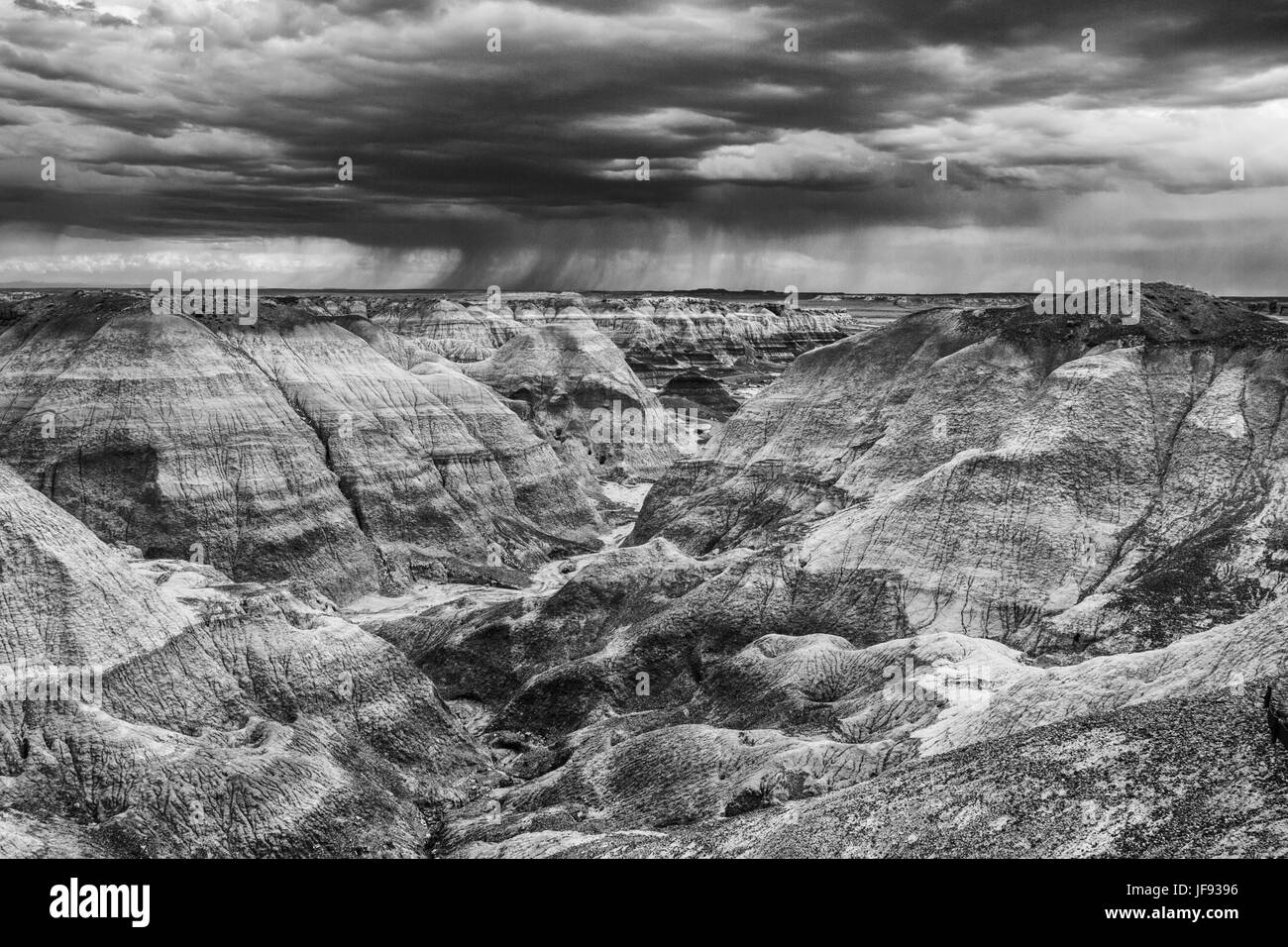 Un paysage de collines et orageux nuages dans le Parc National de la Forêt Pétrifiée, Arizona Banque D'Images