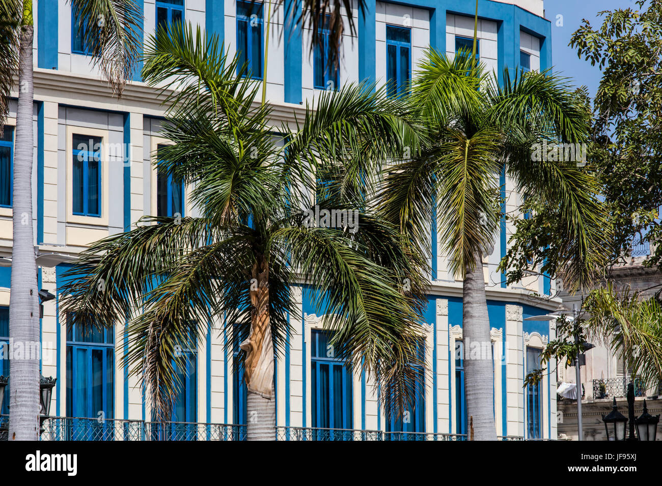 Palmiers et de l'architecture classique - LA HAVANE, CUBA Banque D'Images