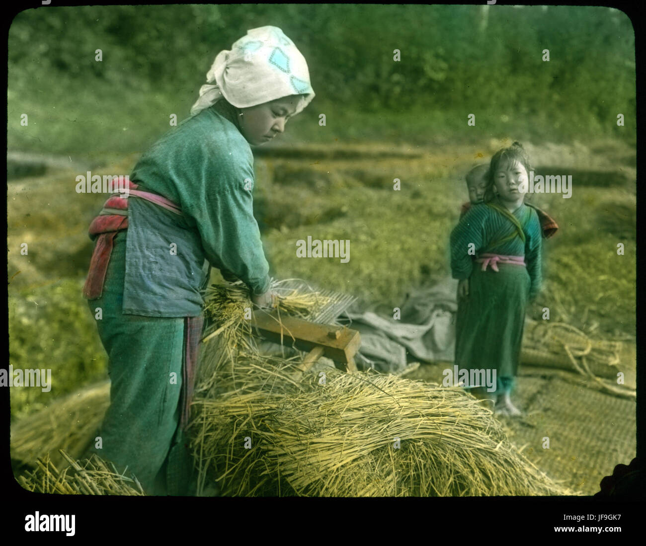 Une femme au Japon pendant l'ère Meiji (1868-1912) sépare le riz de la paille à l'aide d'un peigne d'acier traditionnel, mettant en valeur les pratiques agricoles de l'époque et les coutumes sociales du Japon rural. Banque D'Images