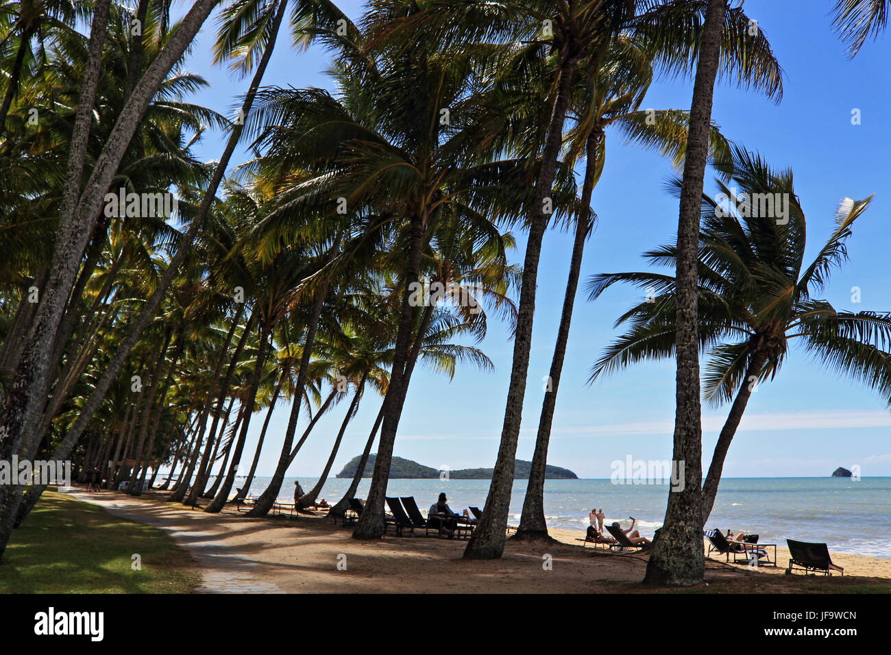 Palm Cove winter beach day idyll Banque D'Images