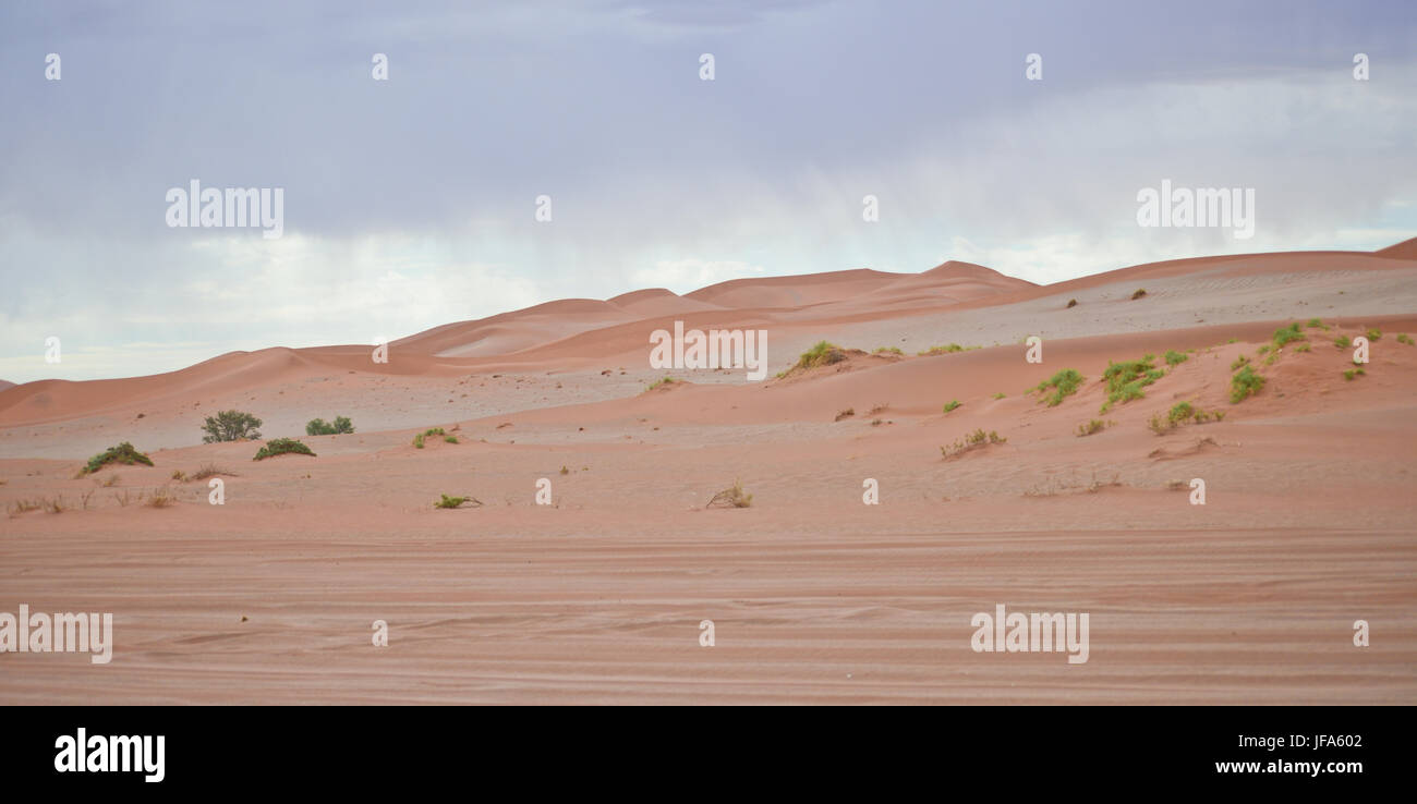 dunes de sable Banque D'Images