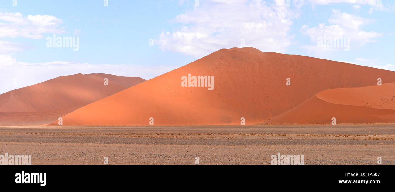 dunes de sable Banque D'Images