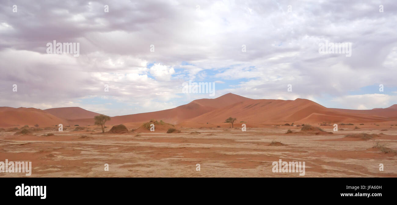 Paysage désertique Banque D'Images