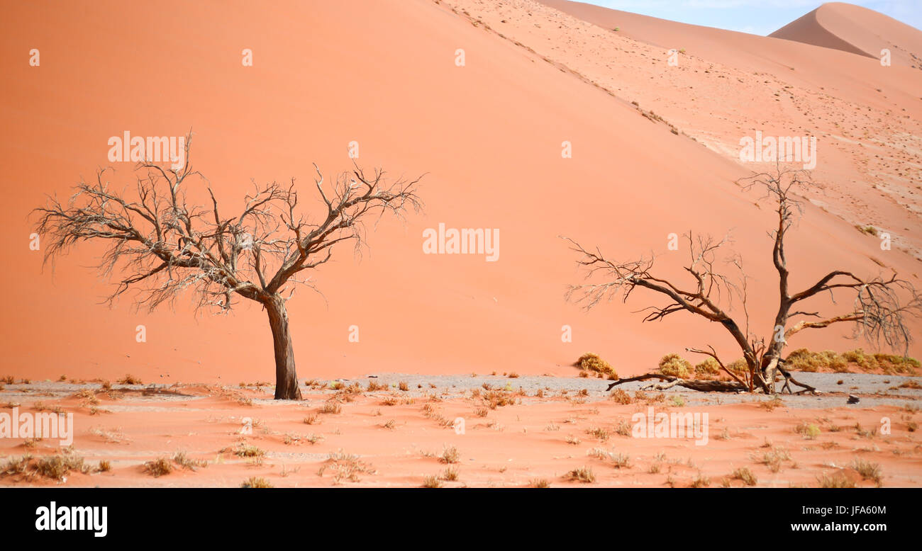 dune de sable Banque D'Images