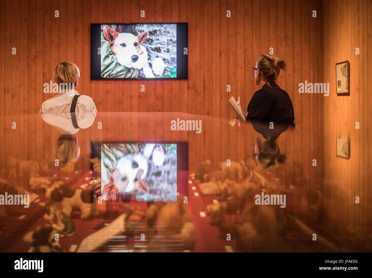 Francfort/Main, Allemagne. 30 Juin, 2017. Les visiteurs sont dans une installation par l'artiste français et auteur Michel Houellebecq intitulé 'Salle Clement' au cours d'un communiqué de l'exposition "Paix" à la galerie d'art Schirn de Francfort/Main, Allemagne, 30 juin 2017. Le Schirn art gallery présente des œuvres de 12 artistes internationaux qui, dit-on, de donner des impulsions à la réflexion sur la paix. L'exposition est ouverte du 1er juillet au 24 septembre 2017. Photo : Frank Rumpenhorst/dpa/Alamy Live News Banque D'Images