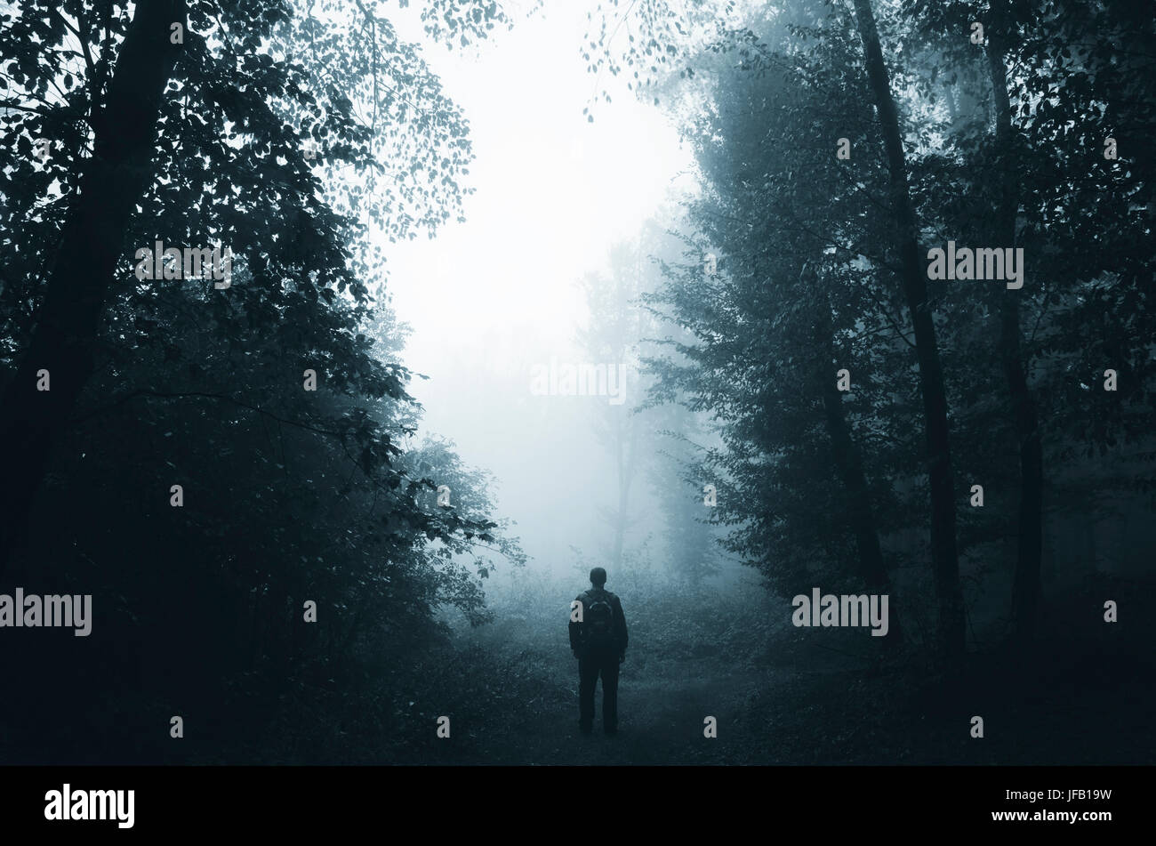 L'homme à la nature, paysage de forêt sombre fantaisie Banque D'Images