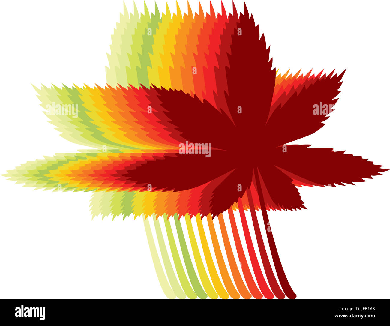 Les érables à l'automne les feuilles avec différentes nuances de couleurs Banque D'Images