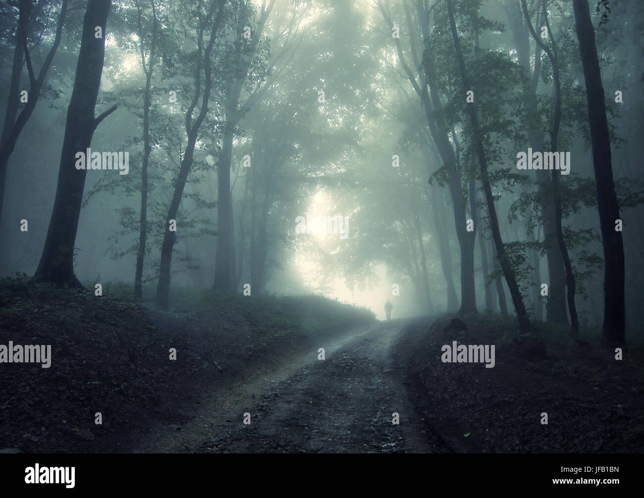 Paysage fantastique avec l'homme marche sur route forestière Banque D'Images