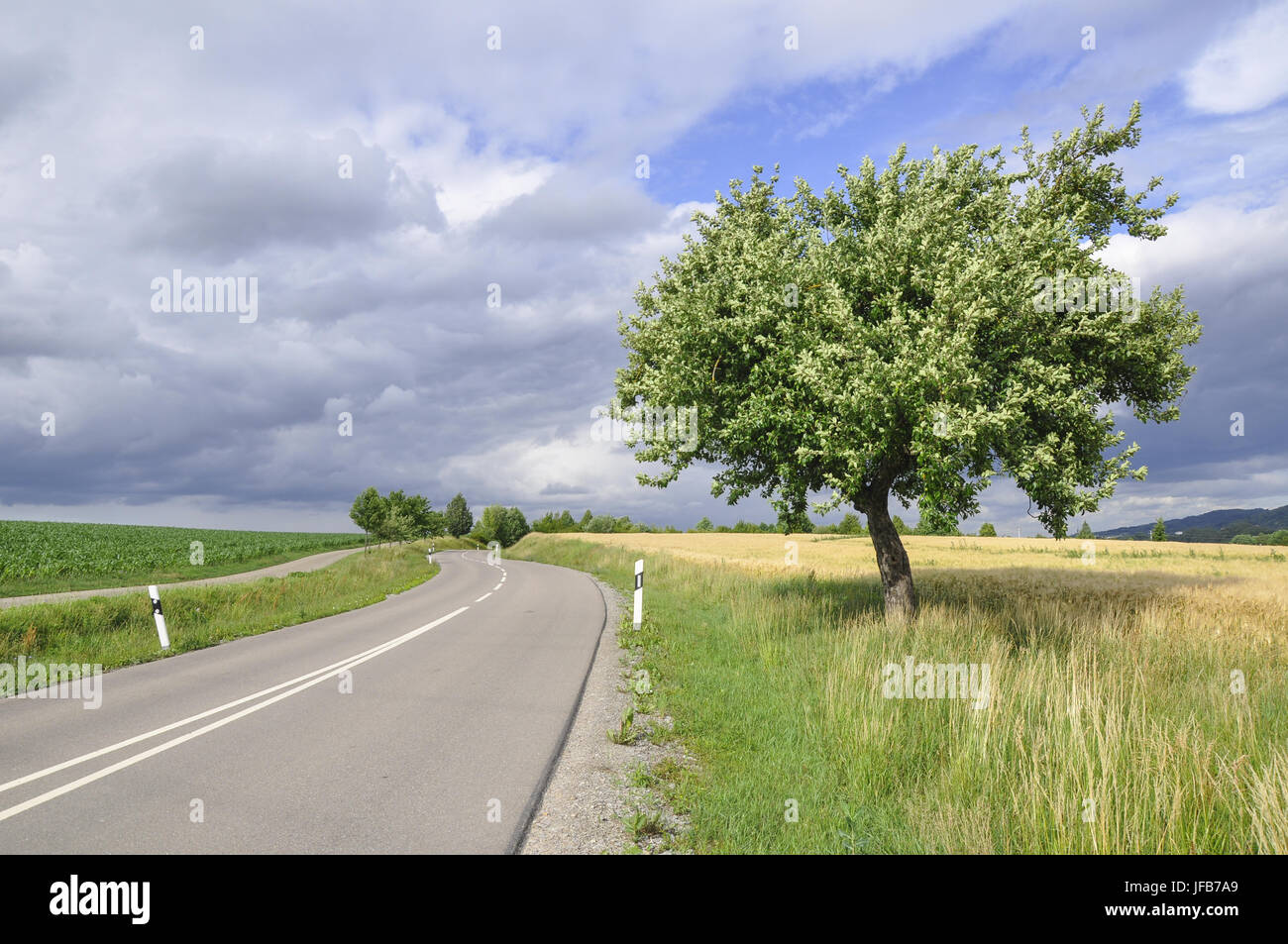 Pays route près de l'Rosengarten-Raibach,Allemagne Banque D'Images