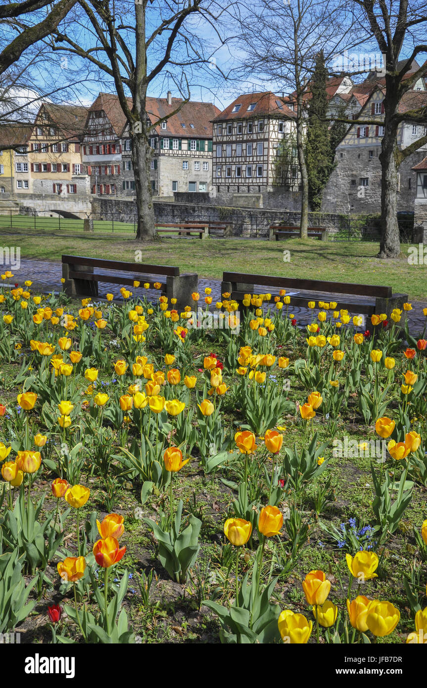 Temps de printemps à Schwaebisch Hal, Allemagne Banque D'Images