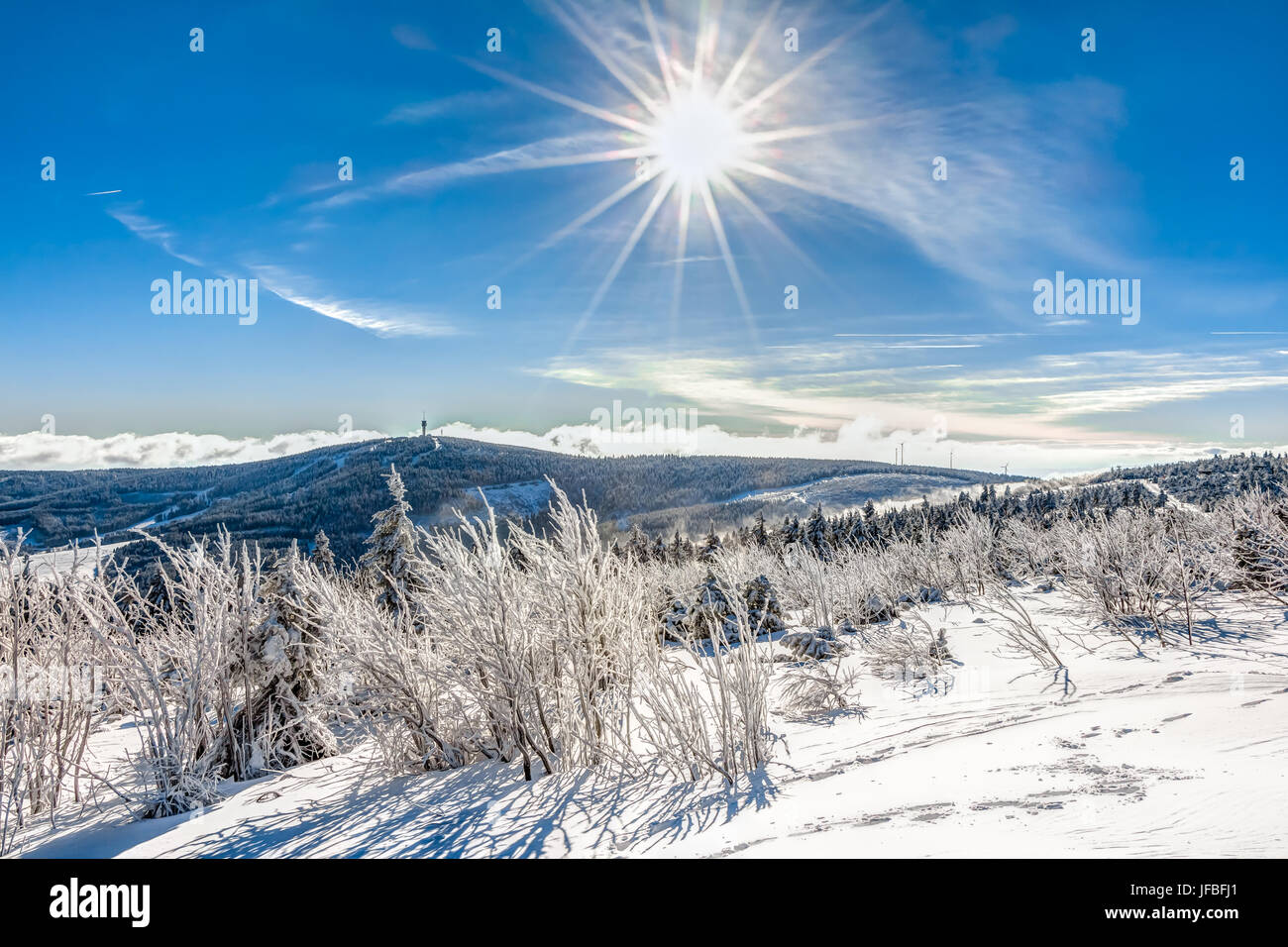 En hiver paysage Banque D'Images