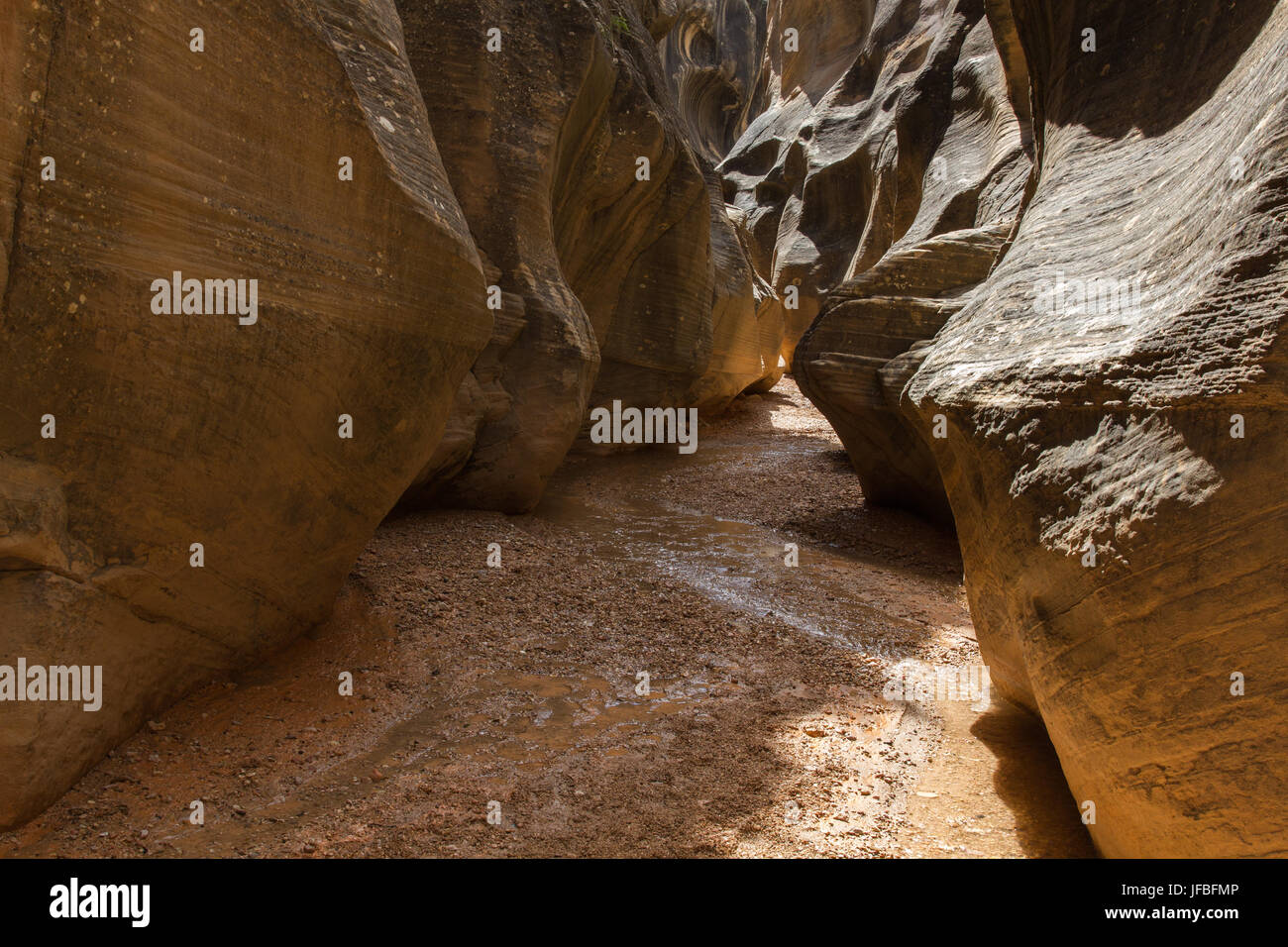 Willis Creek Canyon fente 30 Banque D'Images