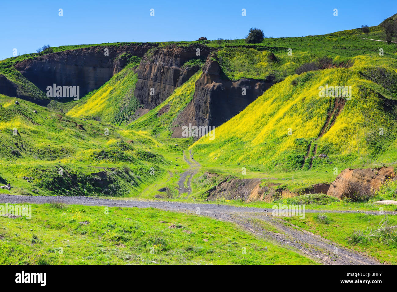 La floraison sous le soleil Banque D'Images