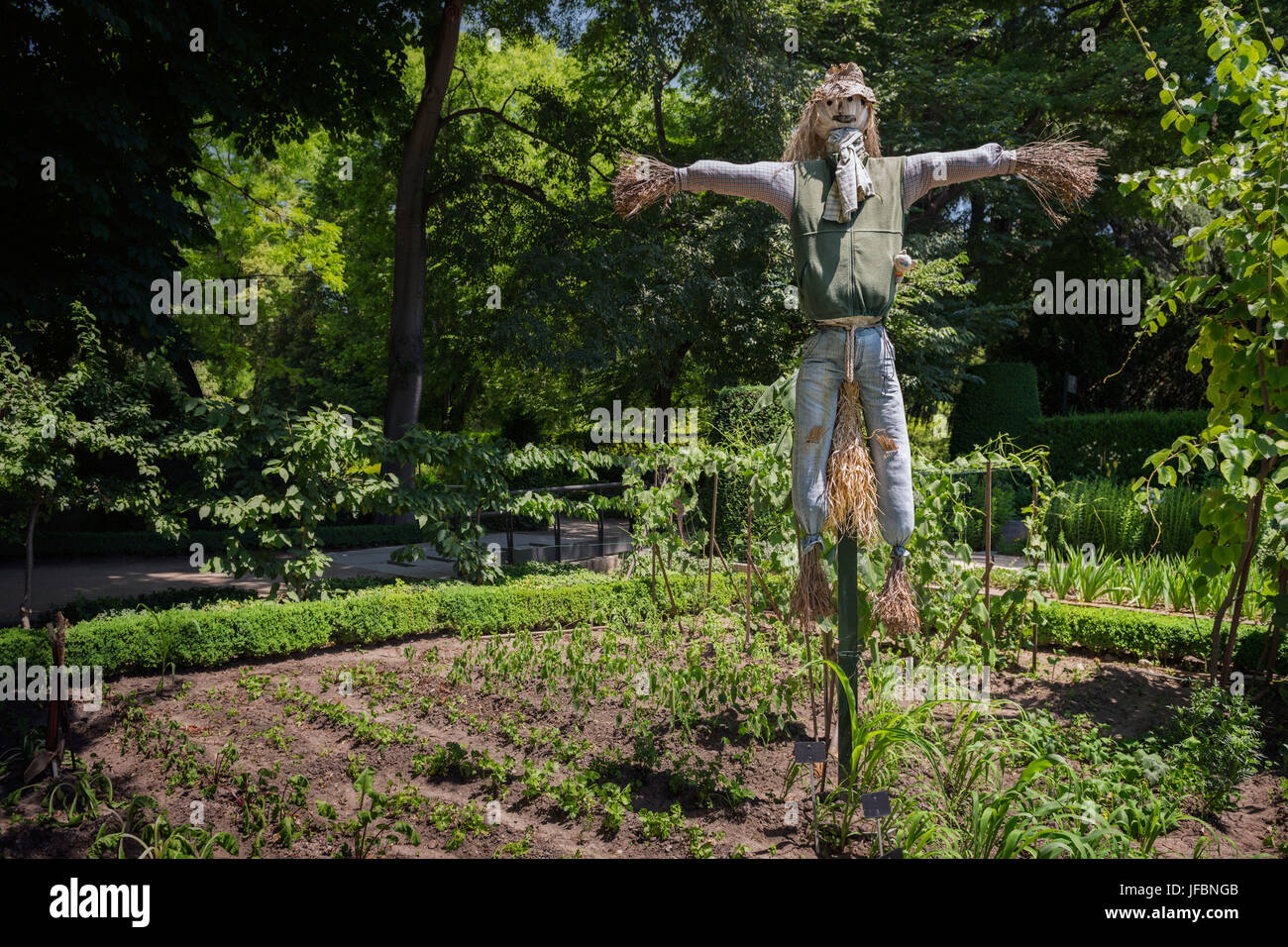 Un grand épouvantail jardin protège les plantes et les légumes de l'oiseau. Madrid, Espagne. Banque D'Images