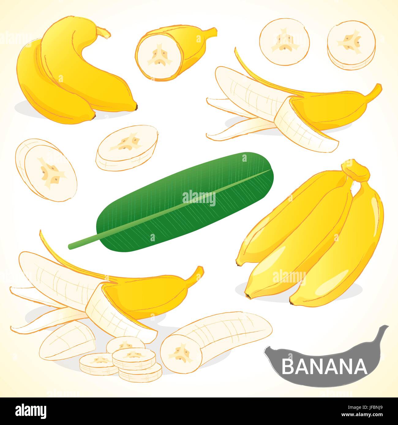 Ensemble de banane dans différents styles au format vectoriel Illustration de Vecteur