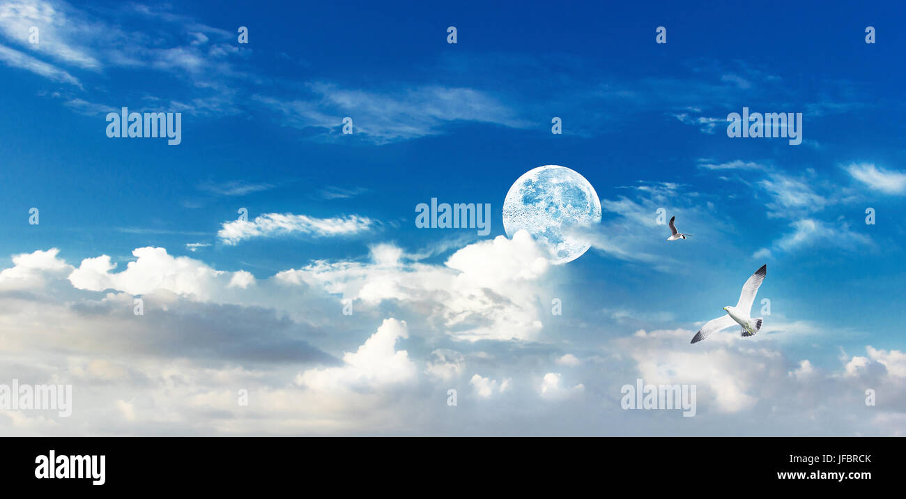 Les mouettes et la pleine lune dans un monde fantastique Banque D'Images