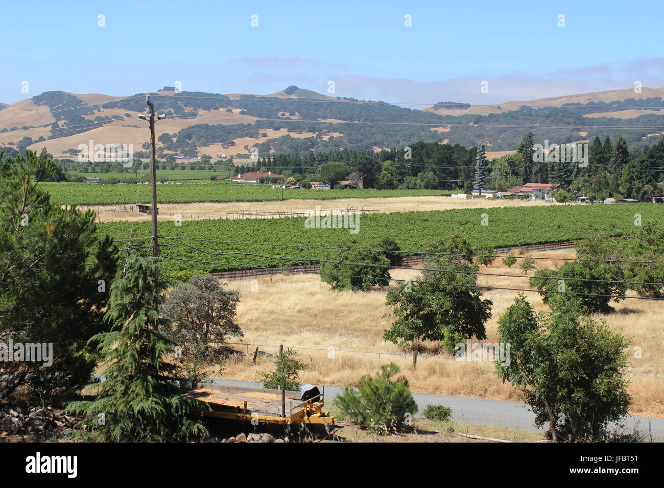Vignoble, comté de Solano Green Valley, Californie Banque D'Images