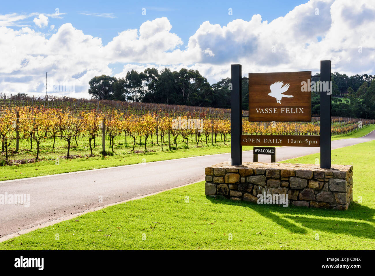 Vignes d'hiver autour de l'entrée de Vasse Felix vignoble dans la région de Margaret River en Australie de l'Ouest, du Sud, de l'Australie-Occidentale Cowaramup Banque D'Images
