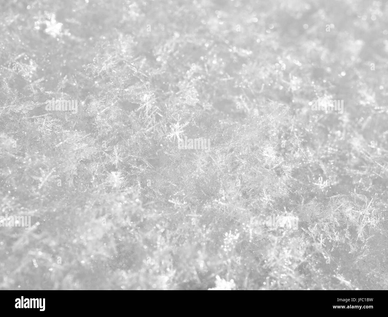 La texture de la neige blanc étincelant au soleil macro Banque D'Images