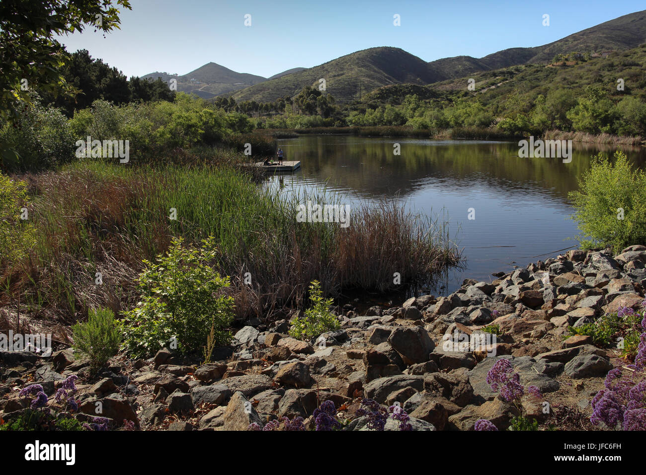 Lac de découverte dans le parc Lakeview, San Marcos, en Californie, a une végétation luxuriante, de sentiers de randonnée, a été formé lorsque San Marcos Creek a été endigué. A une station d'accueil. Banque D'Images