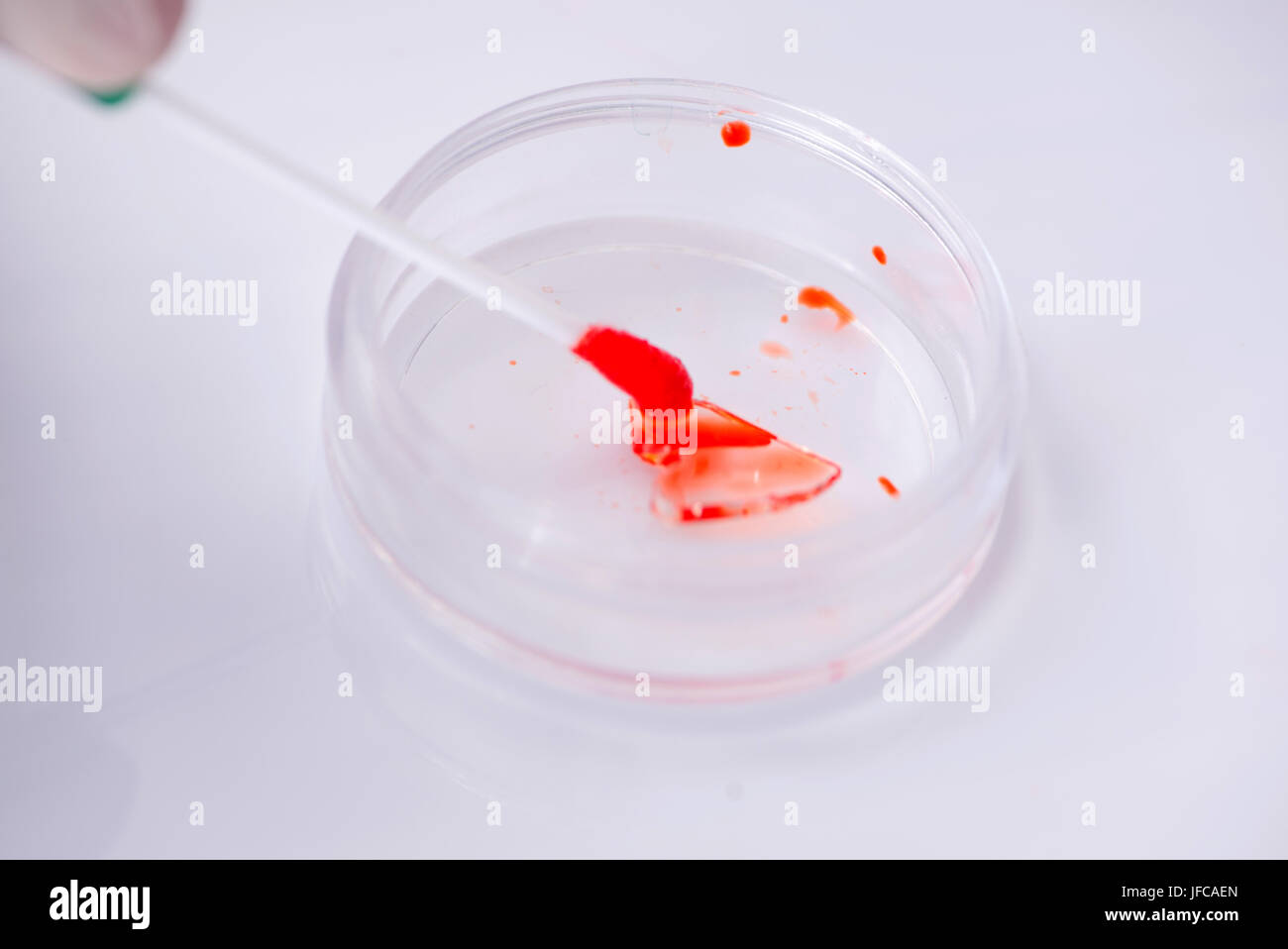 Des tests sanguins en laboratoire Banque D'Images