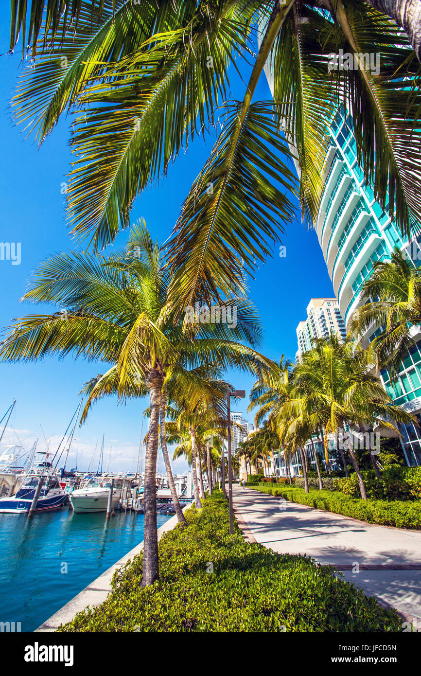 Port de Miami en Floride Banque D'Images