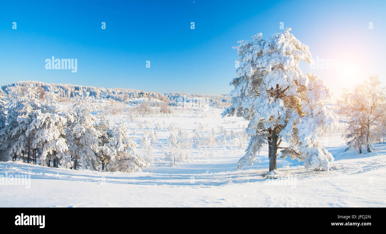 Parc d'hiver dans la neige Banque D'Images