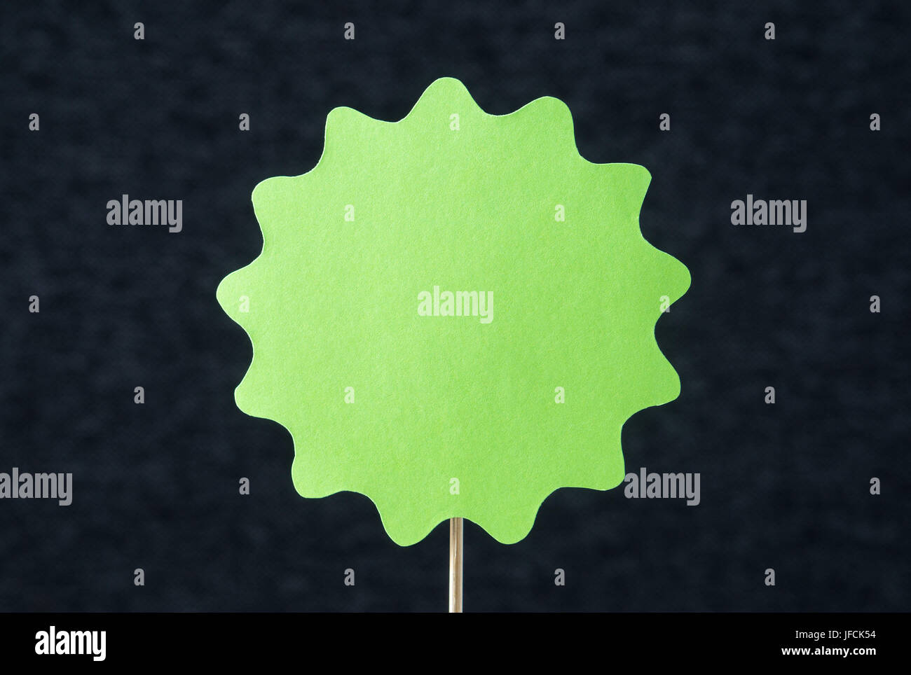 En forme de grand cercle vert coupe de carton sur un bâton en bois. Modèle pour badge papier rond, étiquette, signer, la peste, la bannière ou élément de conception. Banque D'Images