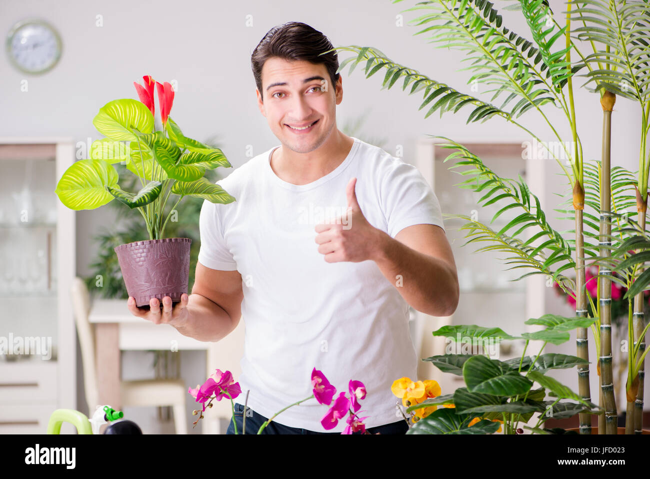 Qui prend soin des plantes à la maison Banque D'Images