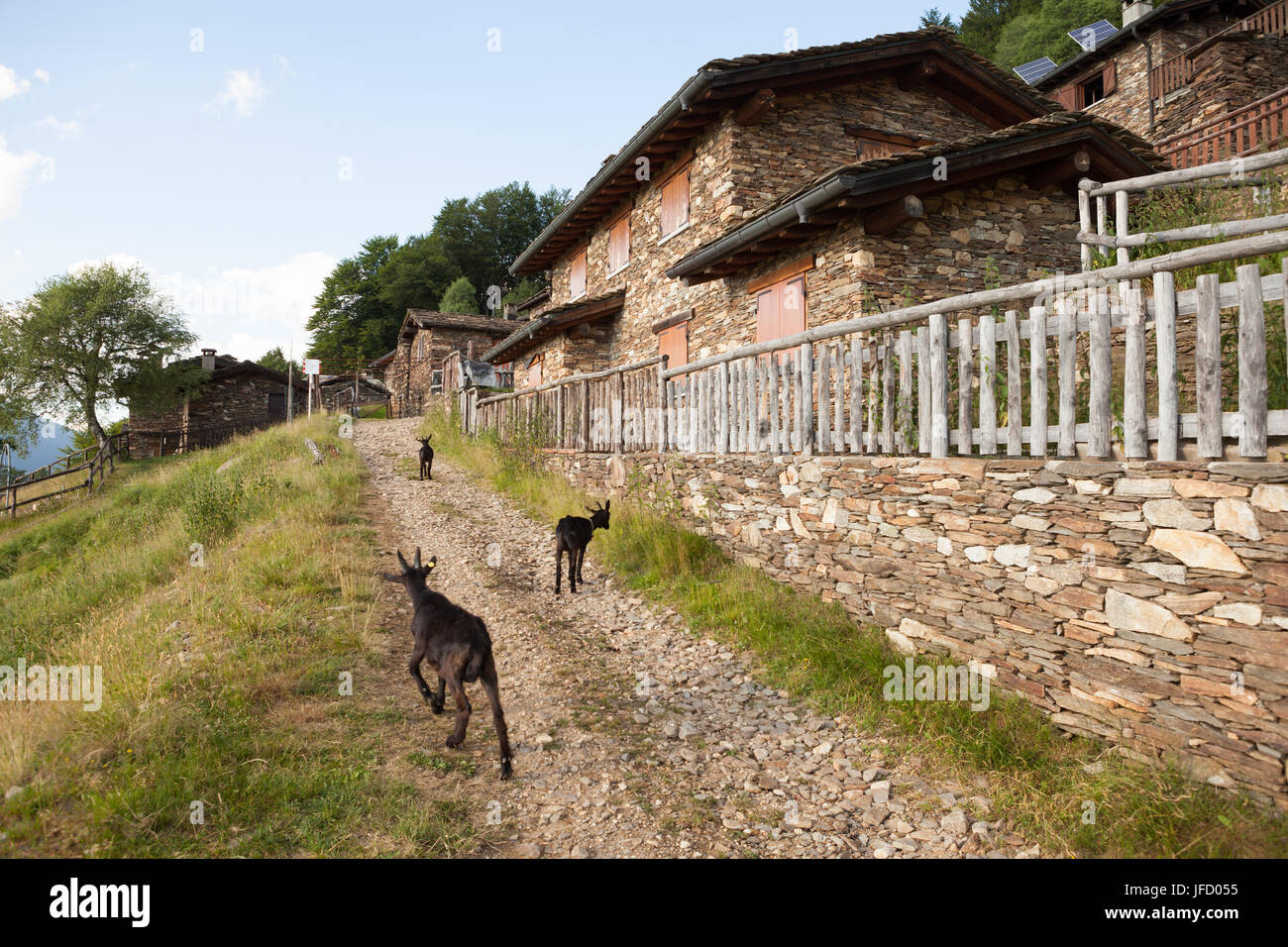 Dumenza Banque de photographies et d’images à haute résolution Alamy