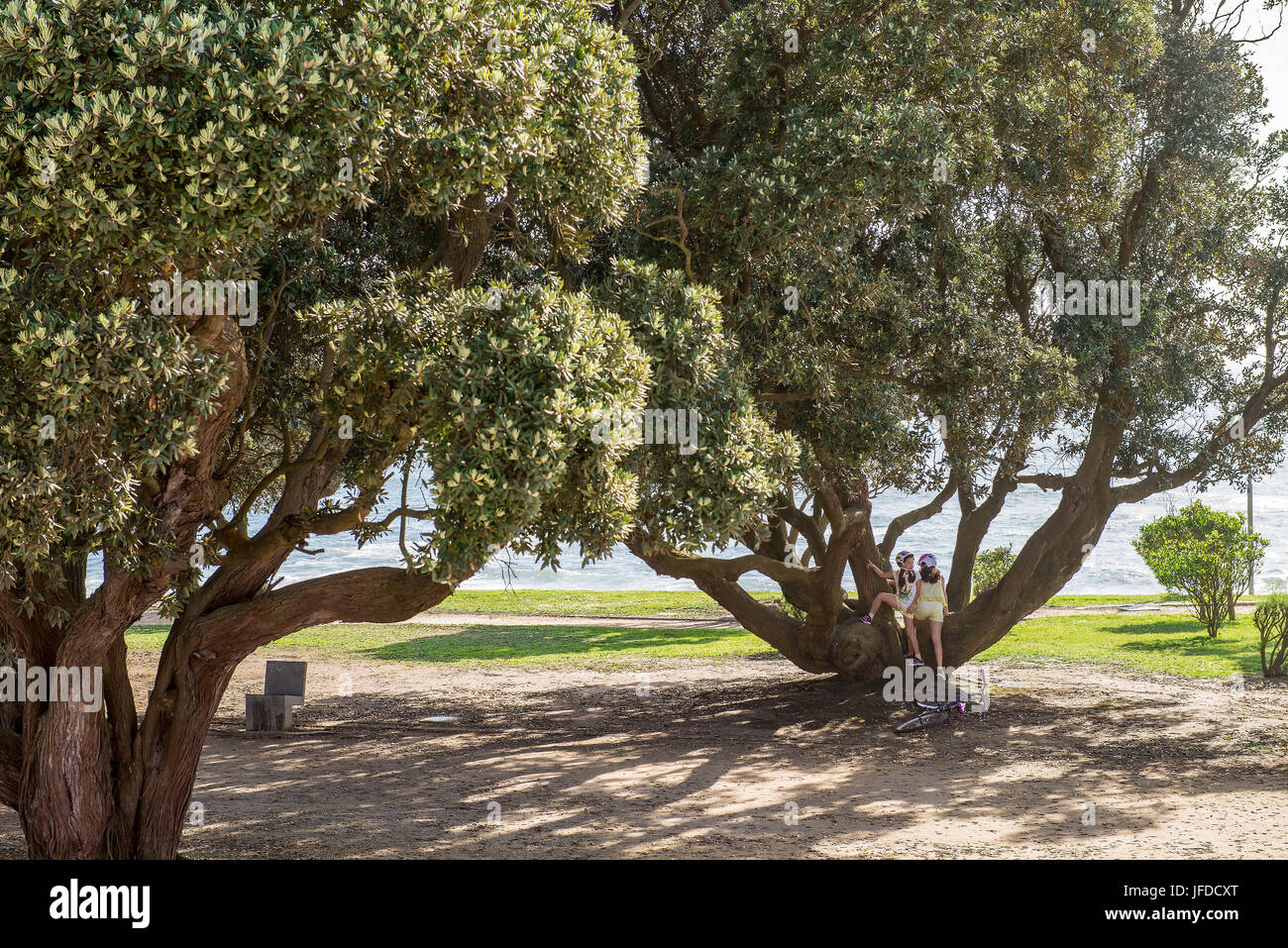 Les enfants jouant dans un parc à Porto, Portugal Banque D'Images