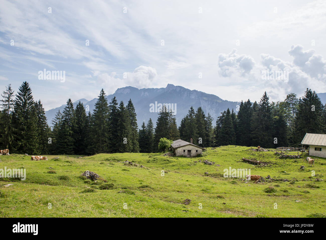 Grange sur prairie dans les Alpes européennes, Allemagne Banque D'Images