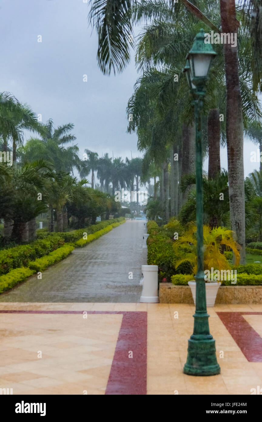 Alley averse tropicale Banque D'Images