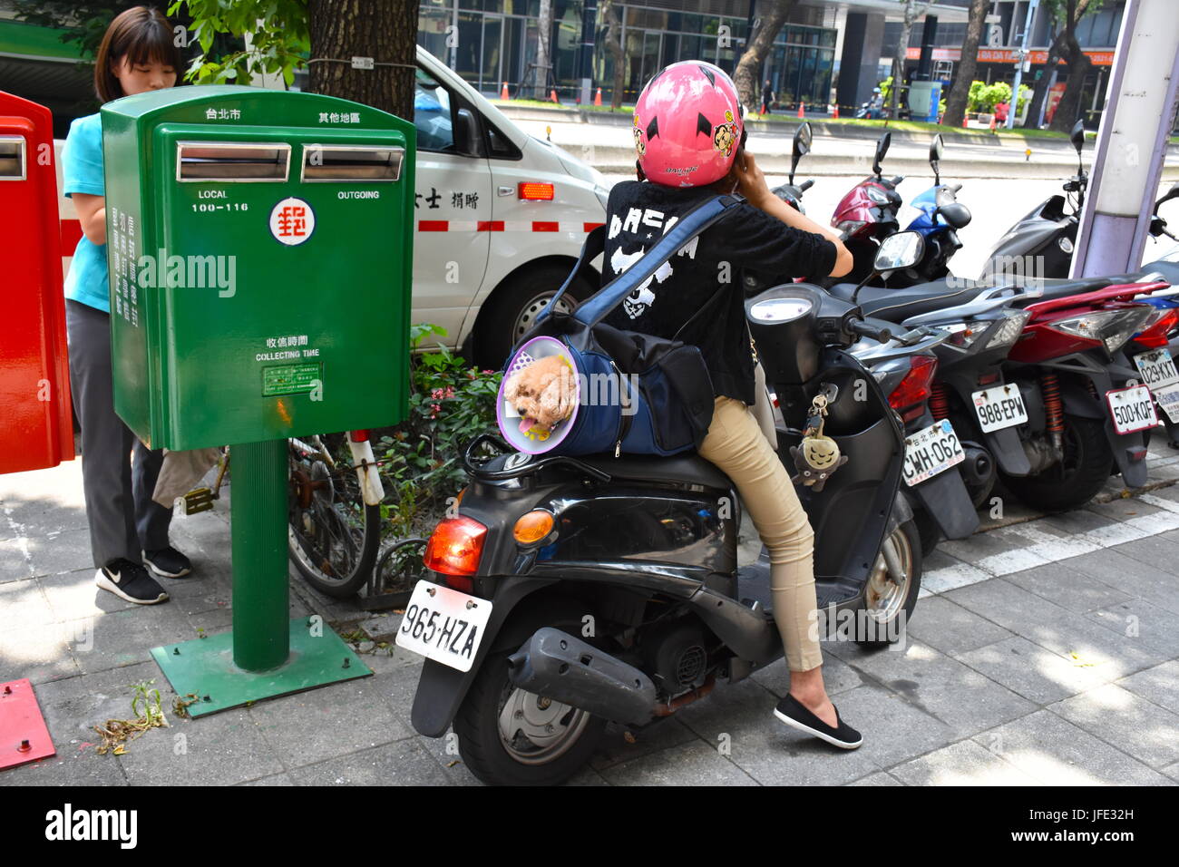 Super mignon caniche marron collant sa tête d'un sac à dos alors que sur un scooter à proximité d'une boîte aux lettres, Taipei, Taiwan. 94F d'aujourd'hui. Banque D'Images