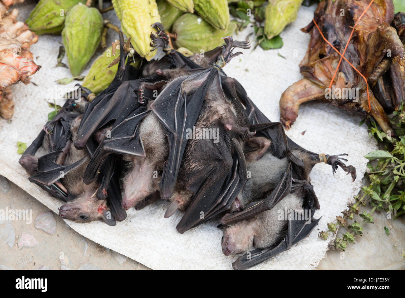 Les chauves-souris au cours du marché Banque D'Images