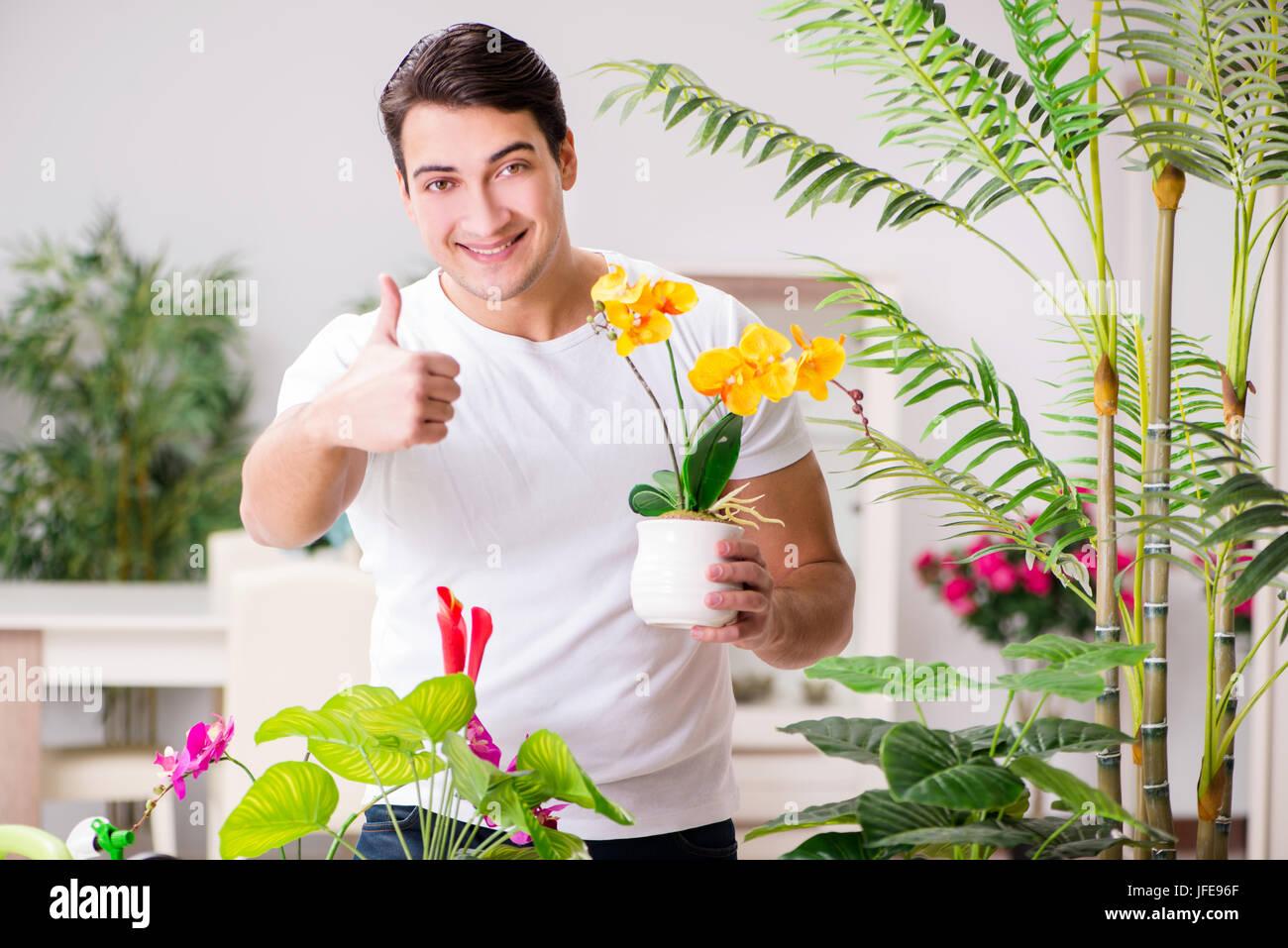 L'homme en prenant soin des plantes à la maison Banque D'Images
